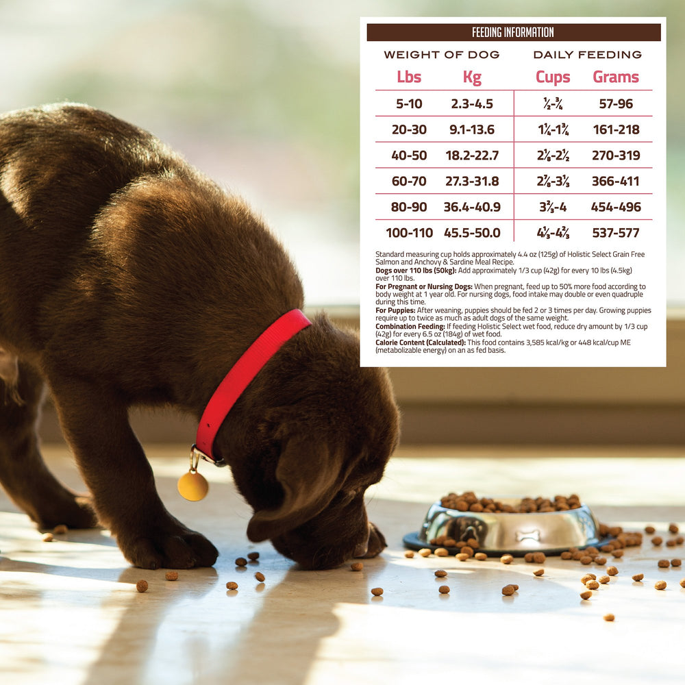 Holistic Select adult and puppy health benefits showcase