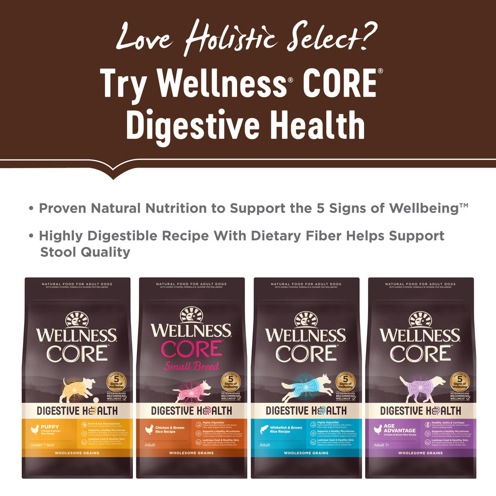 Digestive Health System badge on Holistic Select packaging.