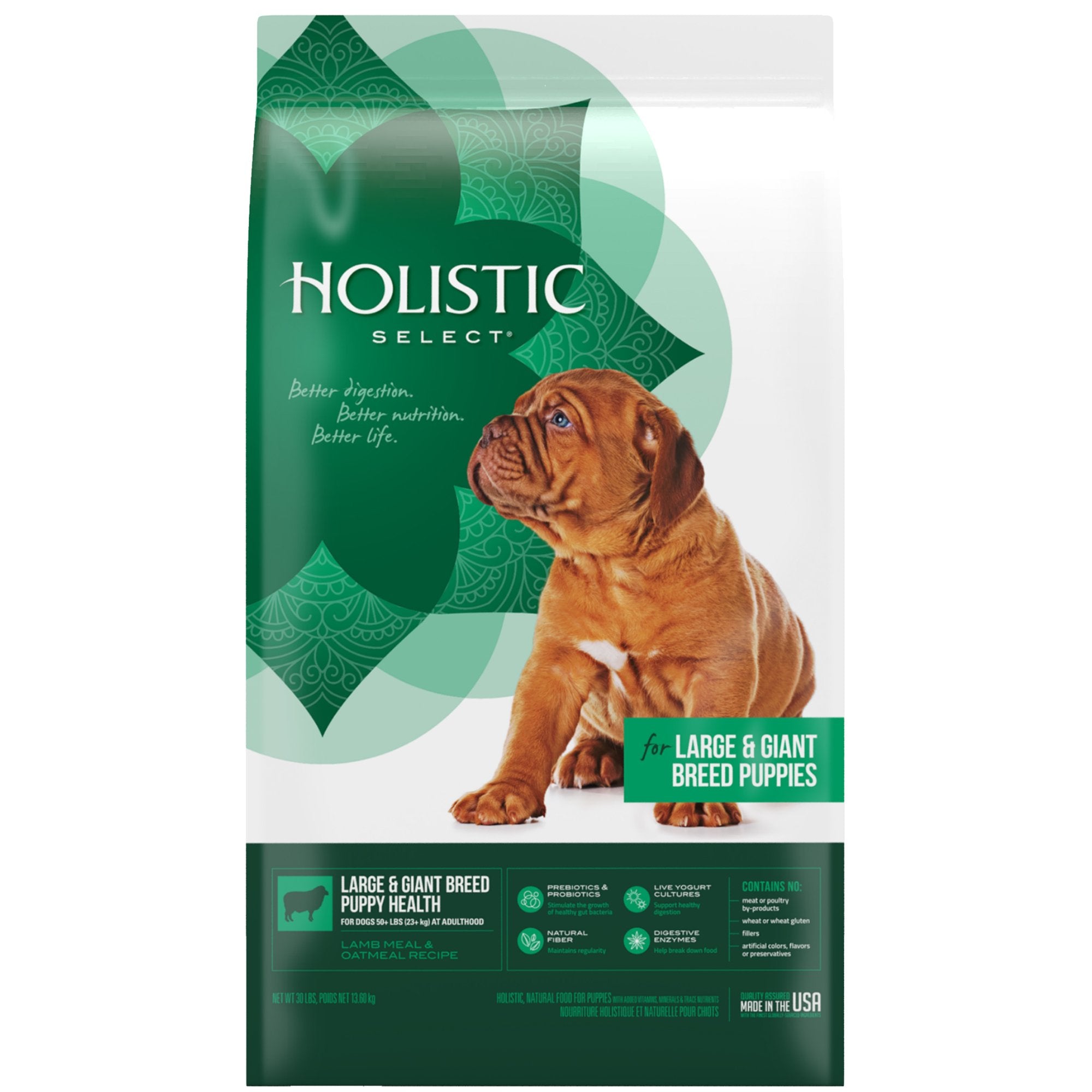 Holistic Select Large & Giant Puppy bowl serving supports easy feeding for big breeds.