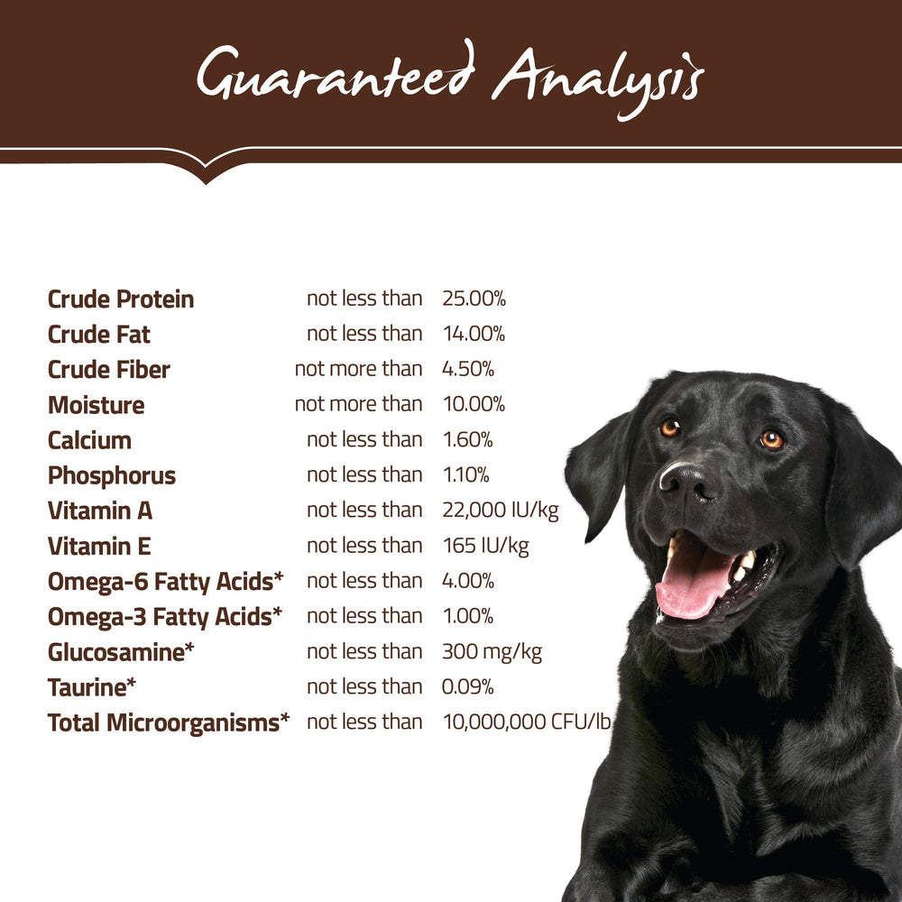 Holistic Select measuring cup filling with kibble illustrates portion control for consistent feeding.
