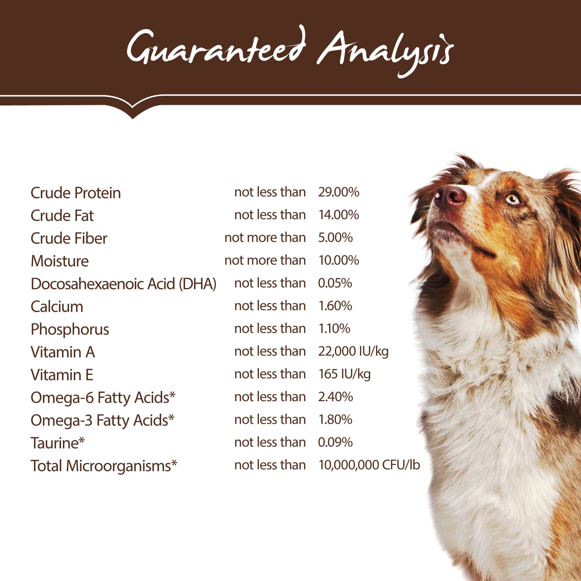 Holistic Select omega-3 rich salmon oil accent