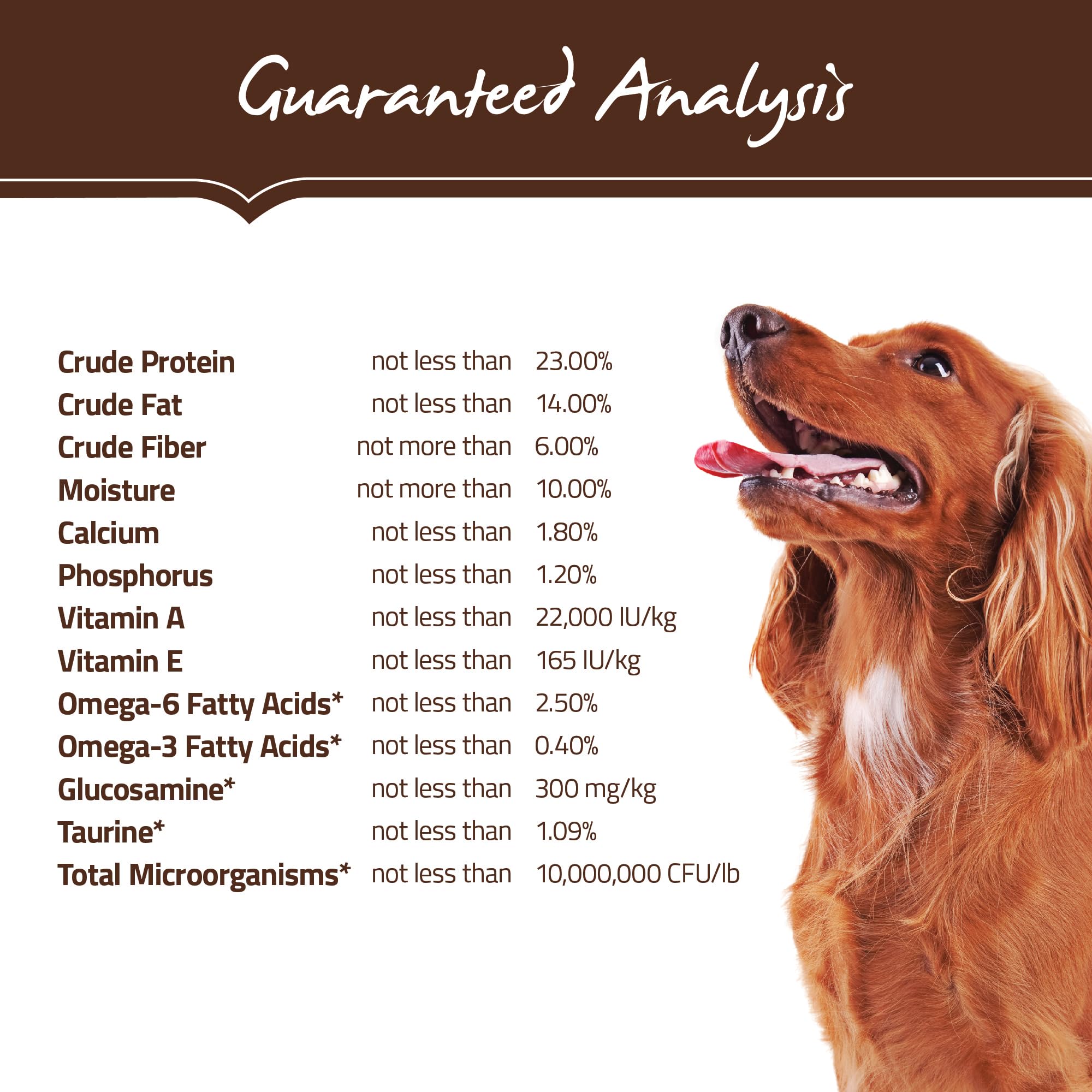 Kibble with omega-rich salmon oil and flaxseed in Holistic Select formula.