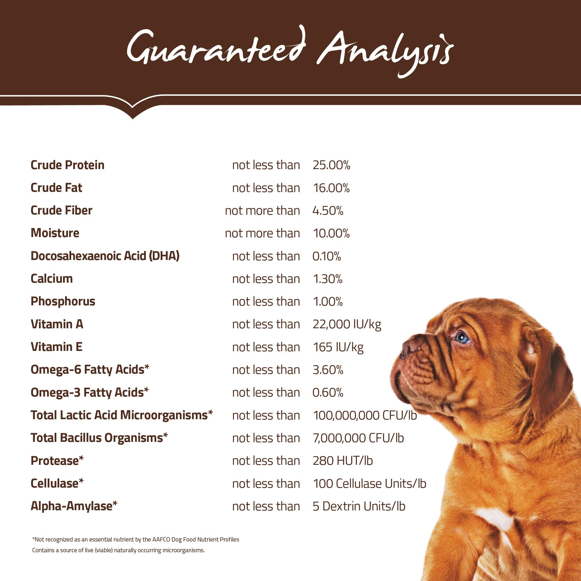 Holistic Select salmon oil and flaxseed provide omega-3 for healthy skin and coat.