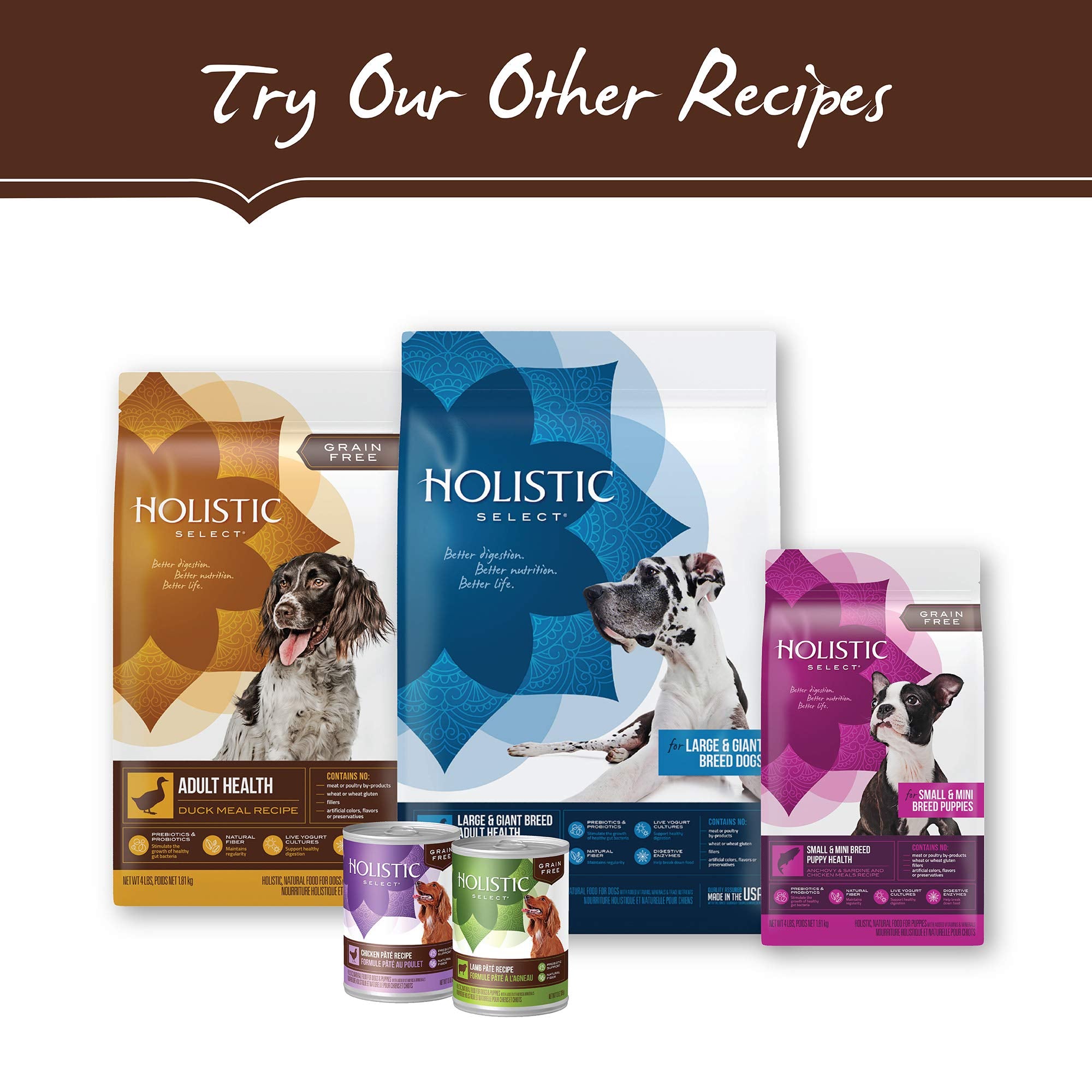 Holistic Select bag label highlighting taurine and antioxidants for overall wellness