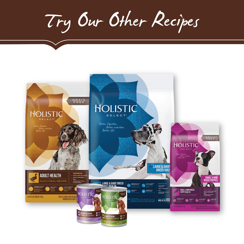 Holistic Select bag label highlighting taurine and antioxidants for overall wellness
