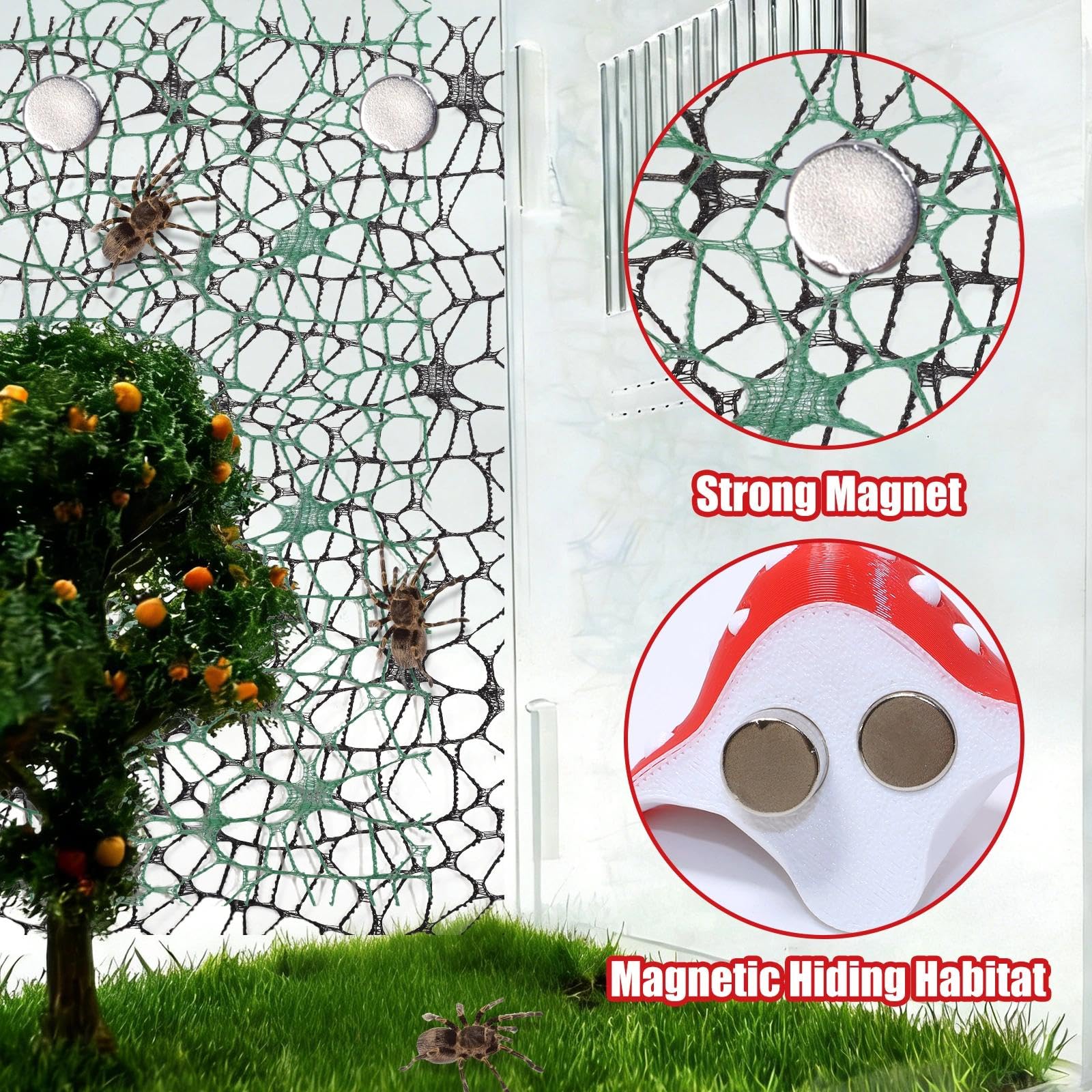 Hollima 9P 3D Jumping Spider feeding platforms support safe, visible feeding areas for your spider.