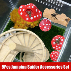 Hollima 9P 3D Jumping Spider hideouts create cozy sheltered spaces for rest and observation.