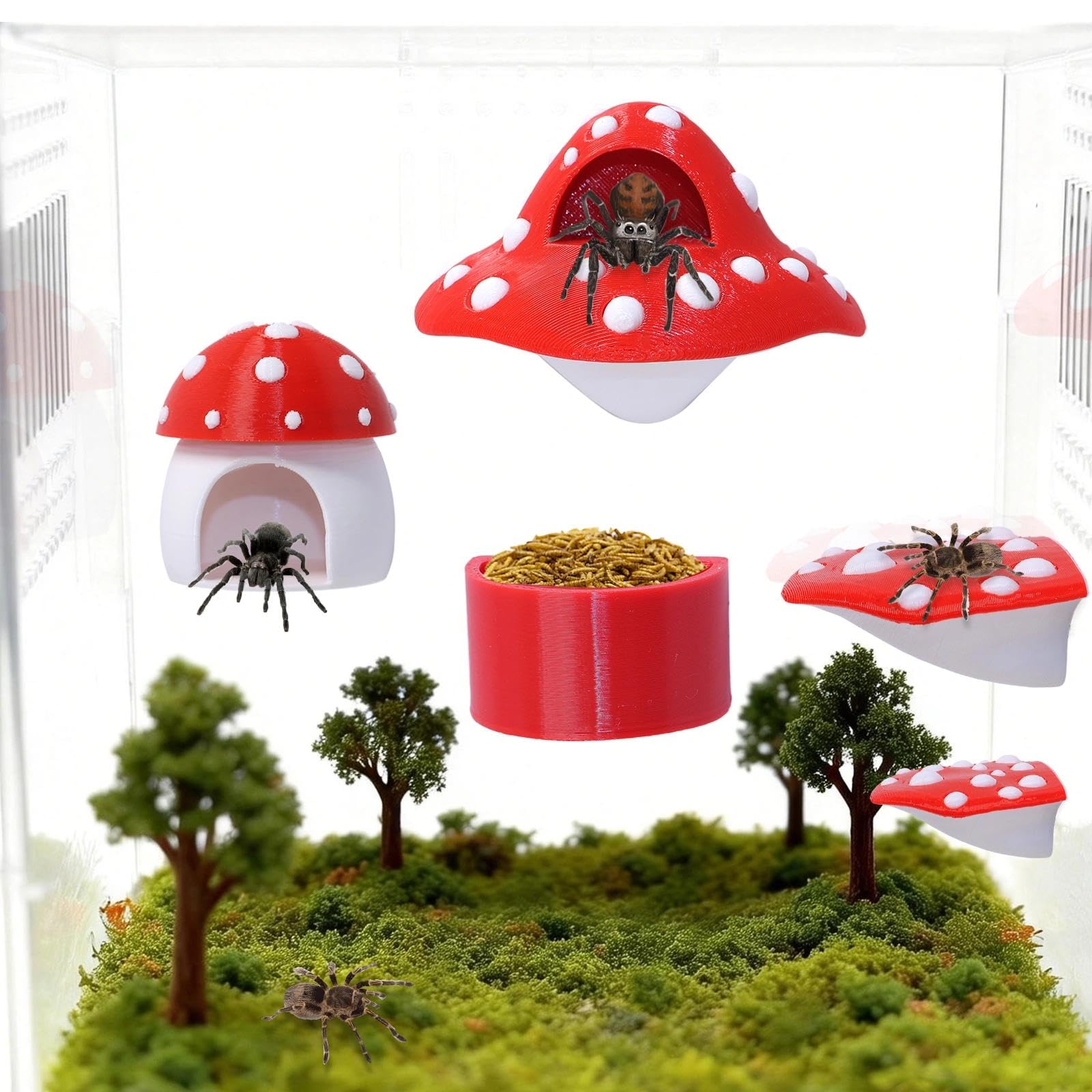 Hollima 9P 3D Jumping Spider multi-level platforms promote climbing, molting, and activity within the enclosure.