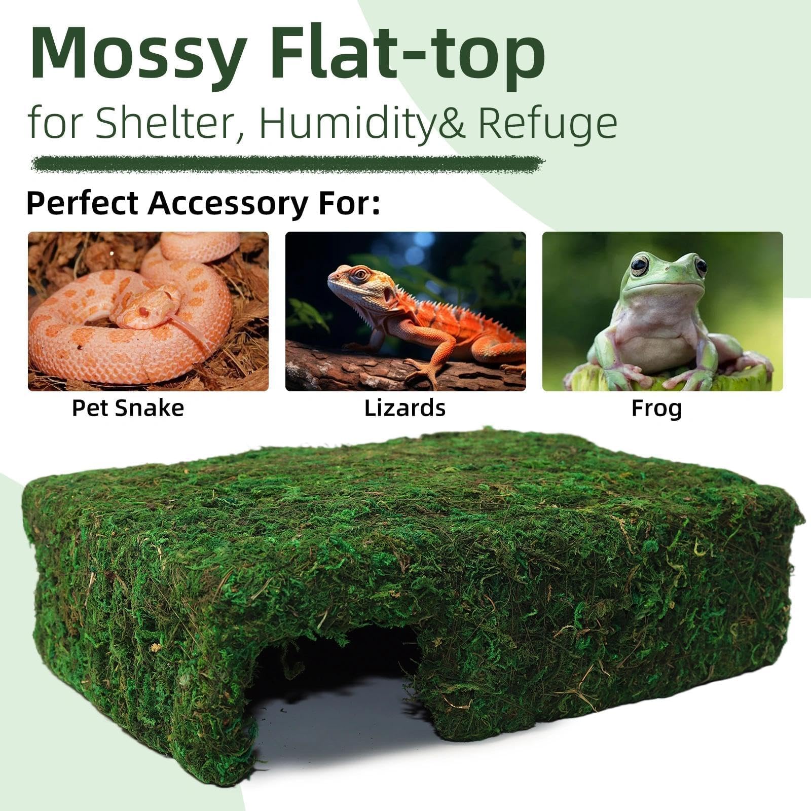 Hollima Mossy Cave Hide hamster nook helps small pets feel secure