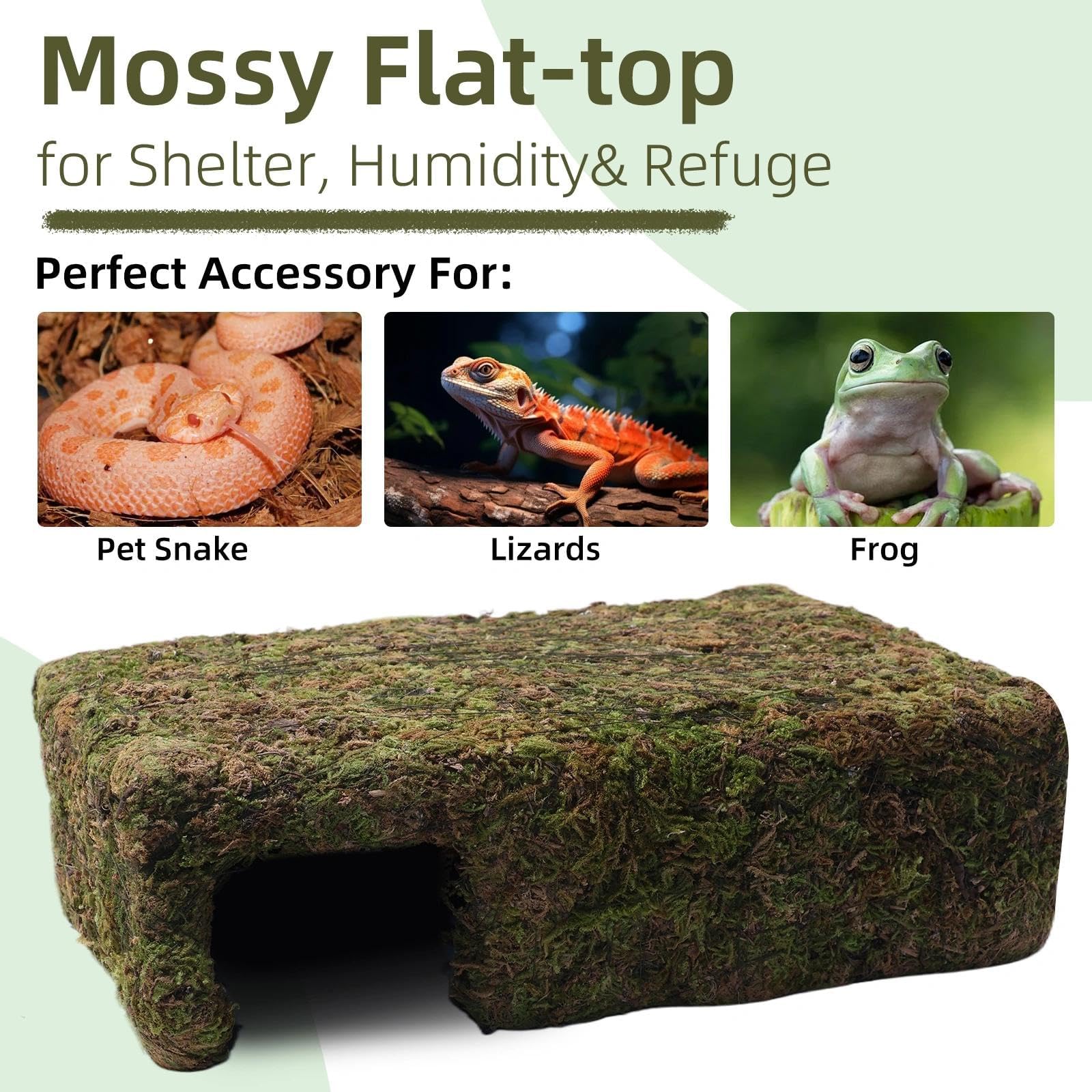 Hollima snake gecko hamster hide offers a safe resting spot.
