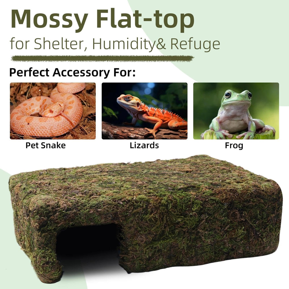Hollima snake gecko hamster hide offers a safe resting spot.