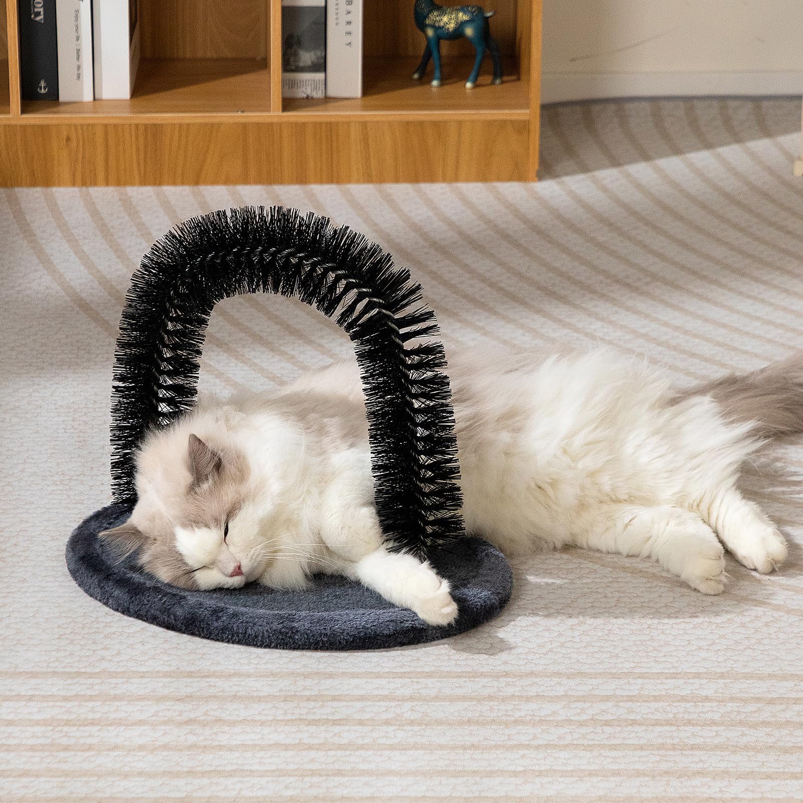 Hollypet Arch Grooming Base with soft padding for scratch play