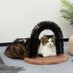 Hollypet arch grooming base with soft carpet for paw scratching and play