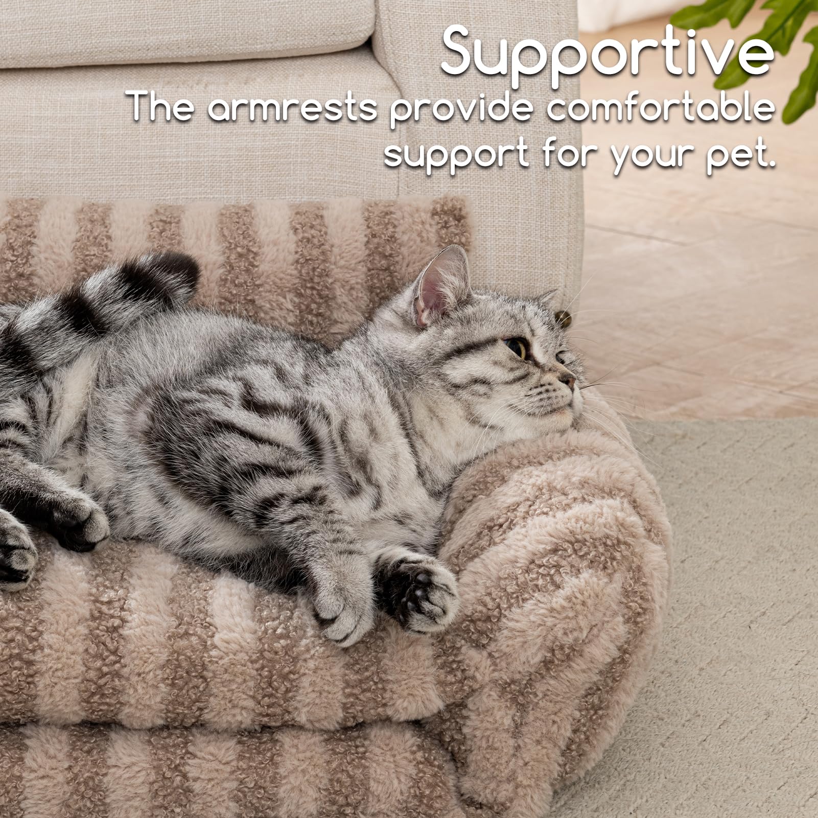 Soft PP filling in Hollypet bed provides warm, snug naps for small pets.