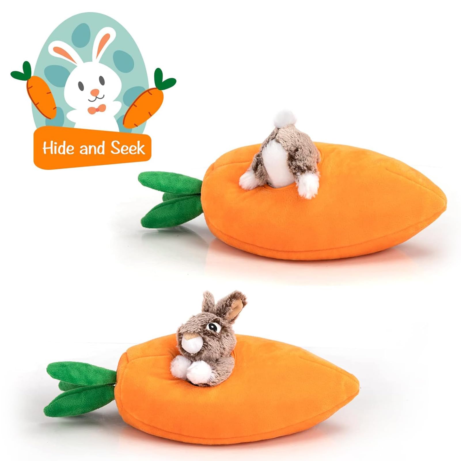 Hollypet dog enjoys digging out rabbits during a lively play session.