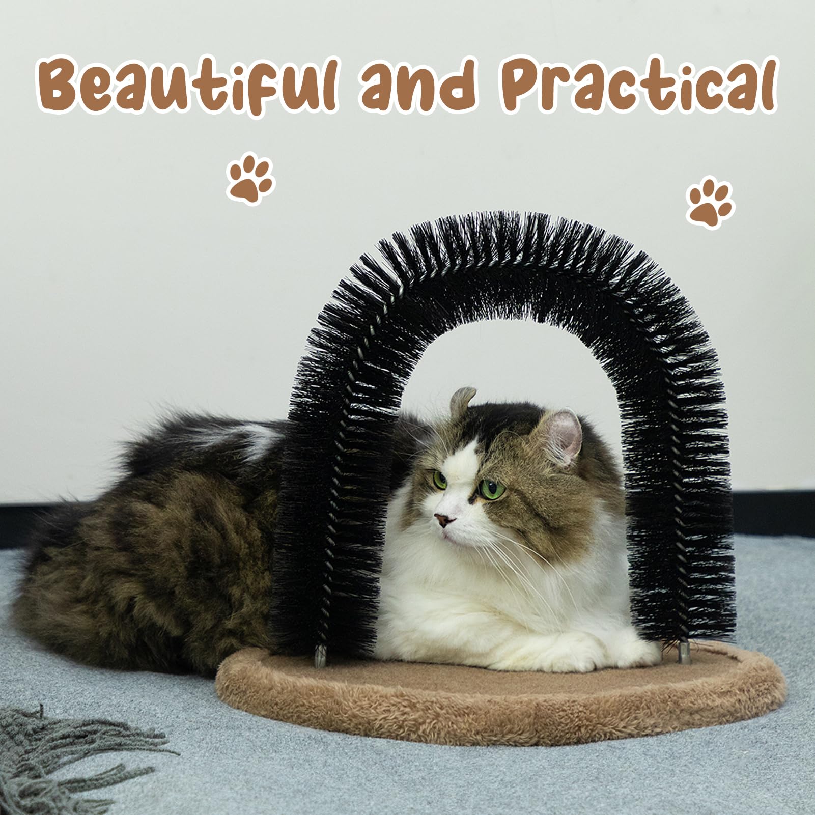 Hollypet interactive cat toy arch encourages movement and self grooming