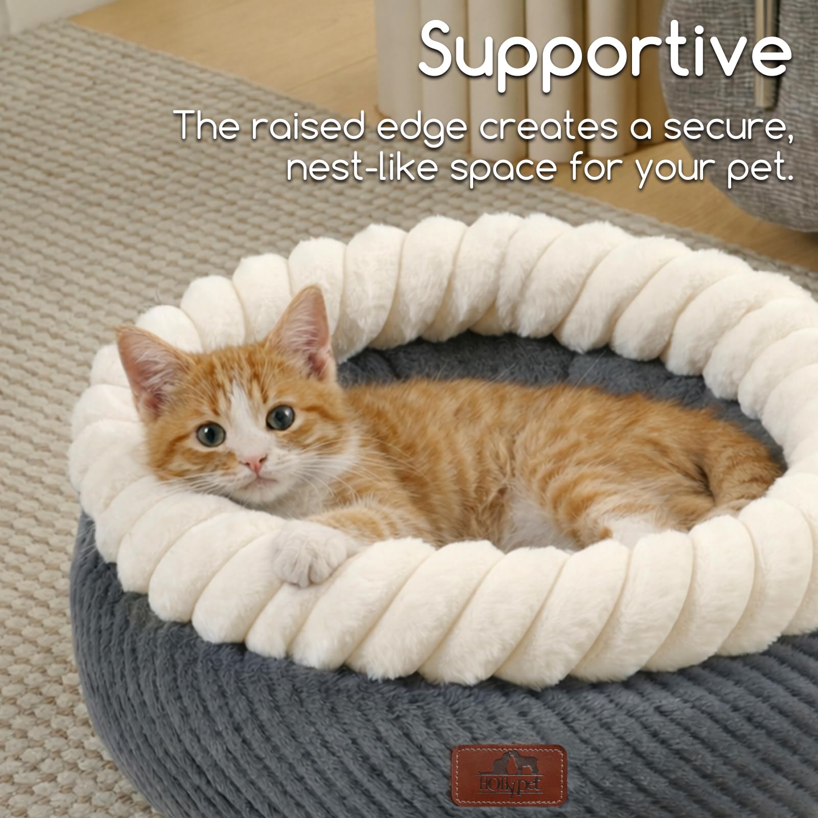 Hollypet machine washable cover makes cleanup quick after spills or shedding.