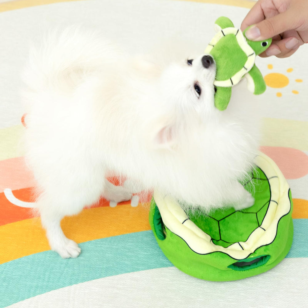 Hollypet Squeaky Dog Toy four green turtles support group play and training.