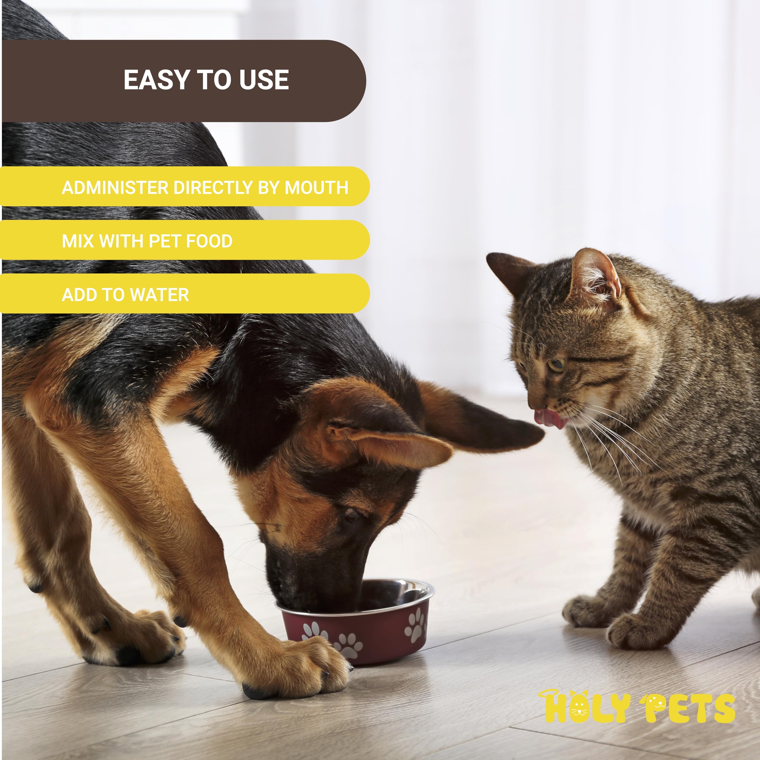 Mixing medicine into a pet's meal demonstrates convenient dosing.