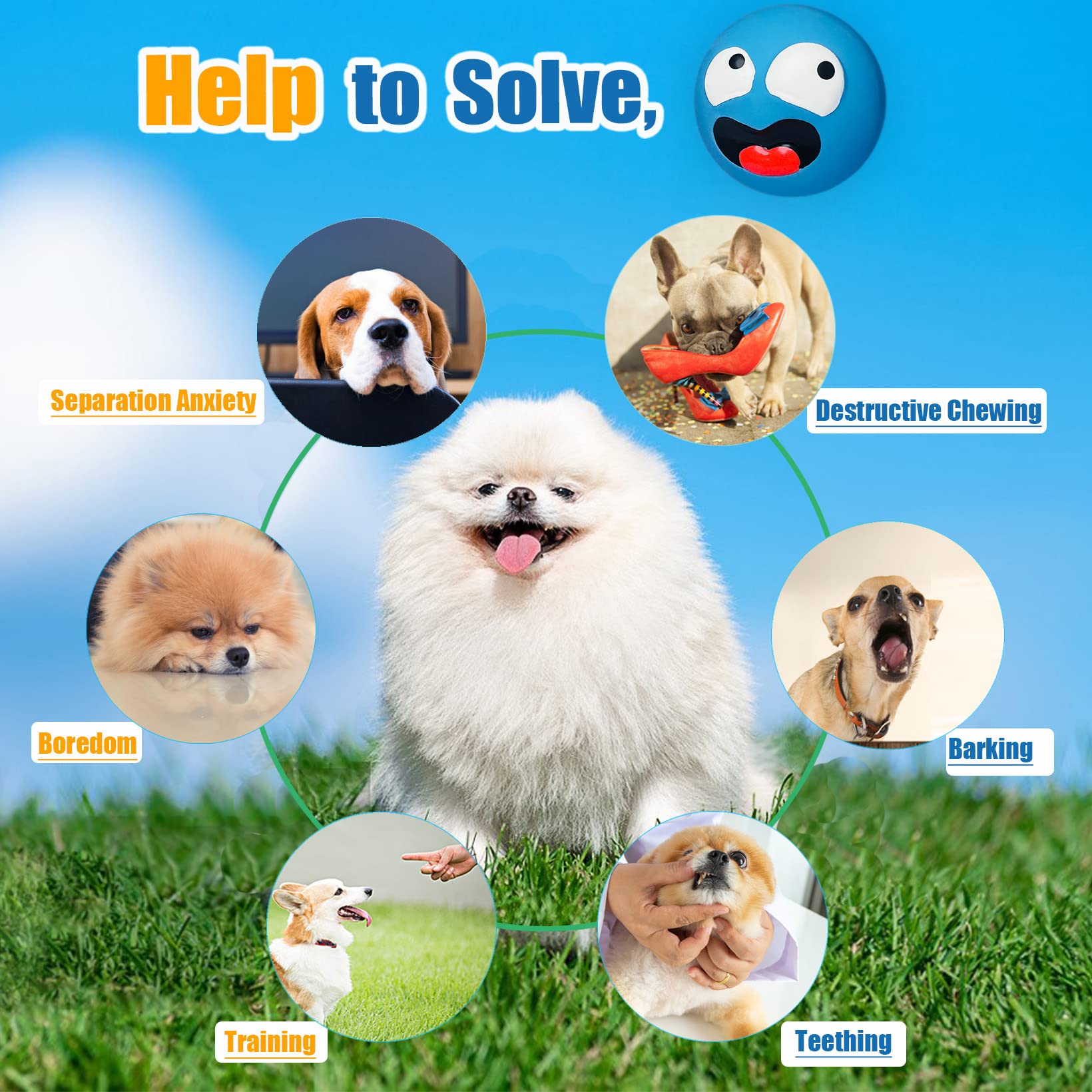 HOLYSTEED mini dog toy enhances safe, long-lasting entertainment