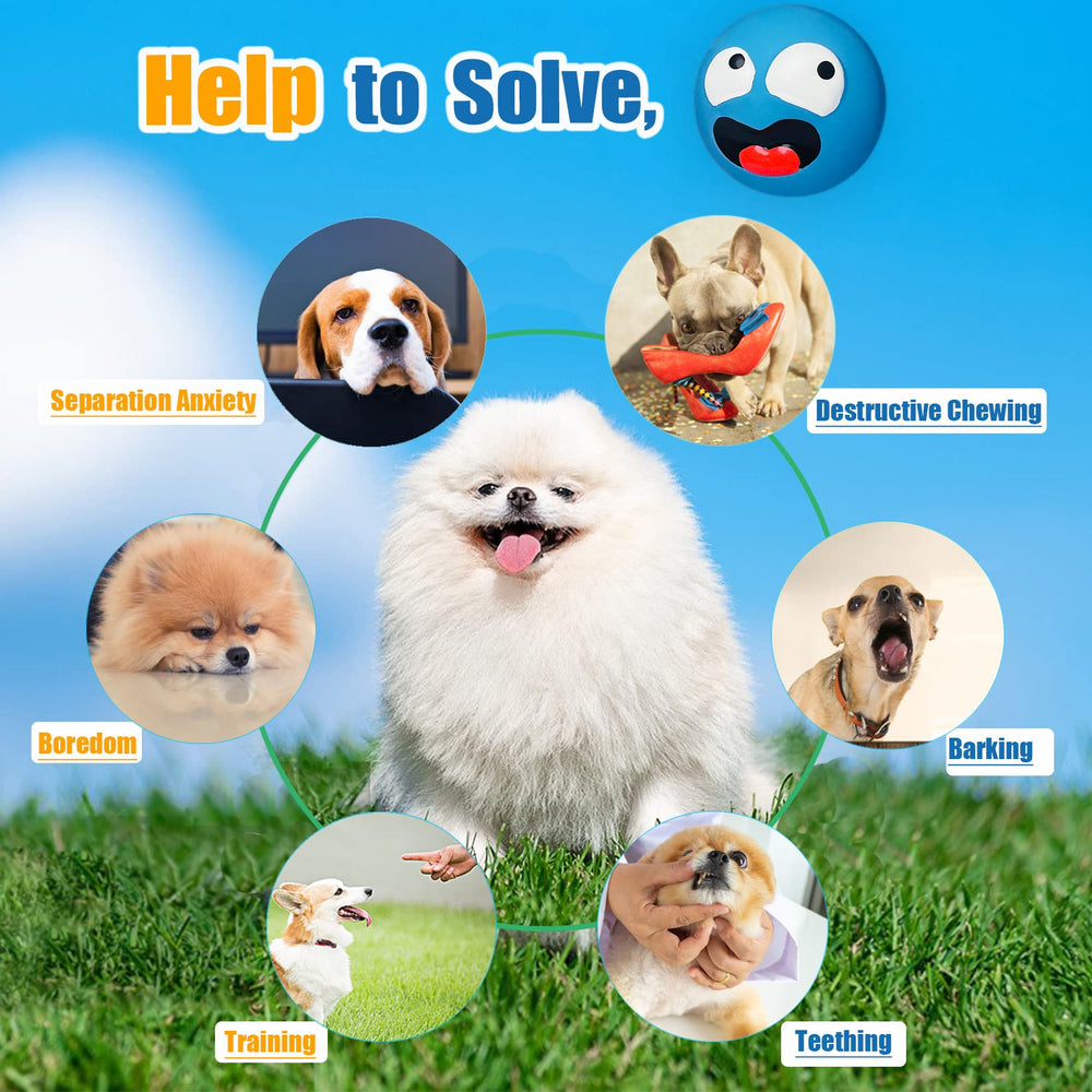 HOLYSTEED mini dog toy enhances safe, long-lasting entertainment