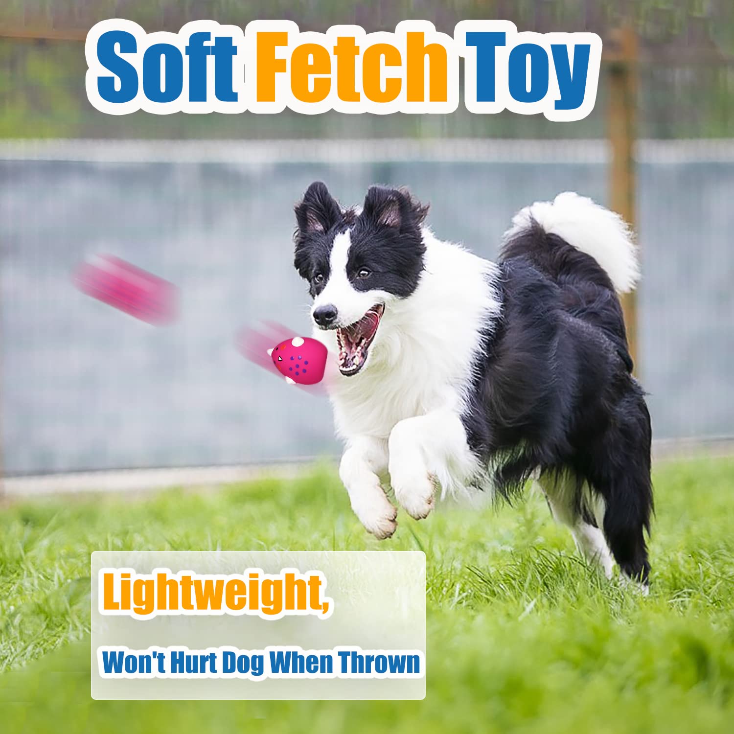 HOLYSTEED puppy playtime setup, bright colors aid visibility in yard