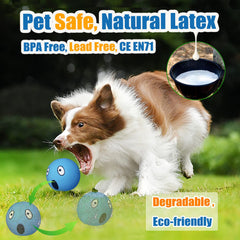HOLYSTEED soft latex material supports gentle chew sessions.