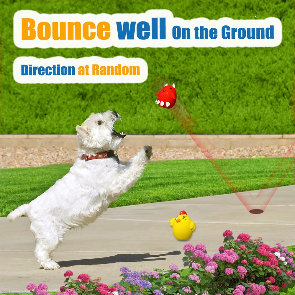 HOLYSTEED squeaky toy in action, dogs chase and listen for the sound