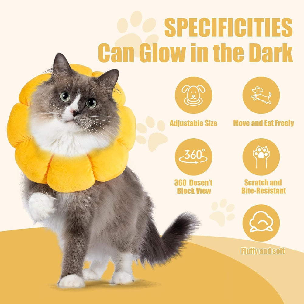 HOMBYS care guide shows vacuum-packed cone reshapes quickly