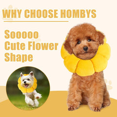HOMBYS soft cone after surgery reduces licking while aiding comfort