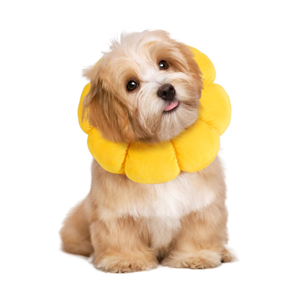 HOMBYS soft dog cone with flower shape comforts dogs after surgery