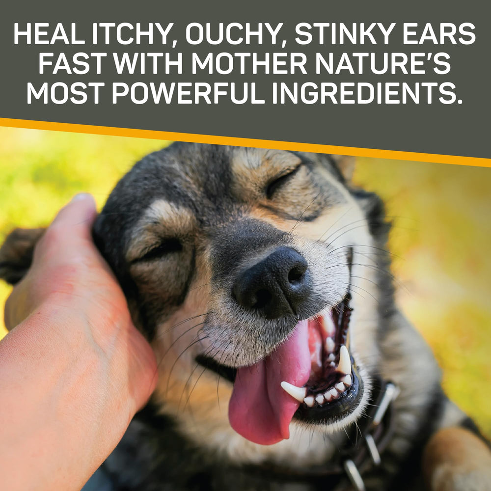 Calm, comfortable pets after Absorbine ear care
