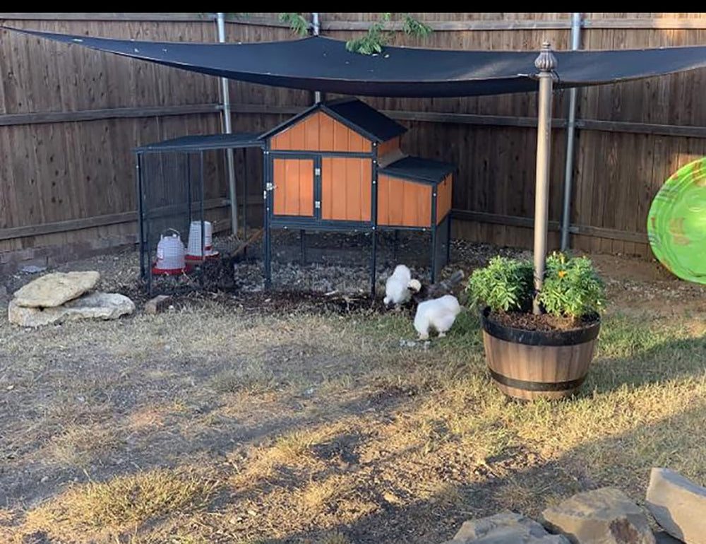 HomeABC shade cover versatile for kennels, patios, gardens, and outdoor events.
