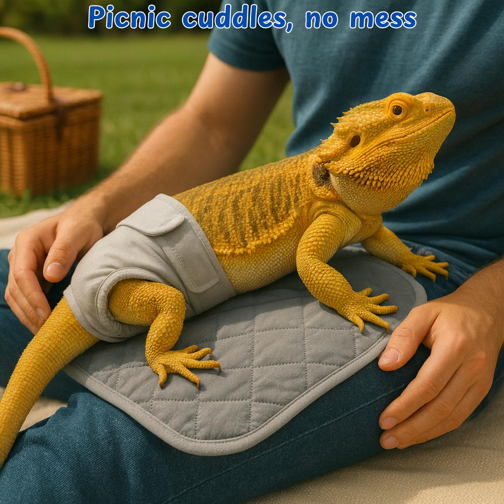 Homedy Crafts car-seat protection with diaper combo keeps couches clean