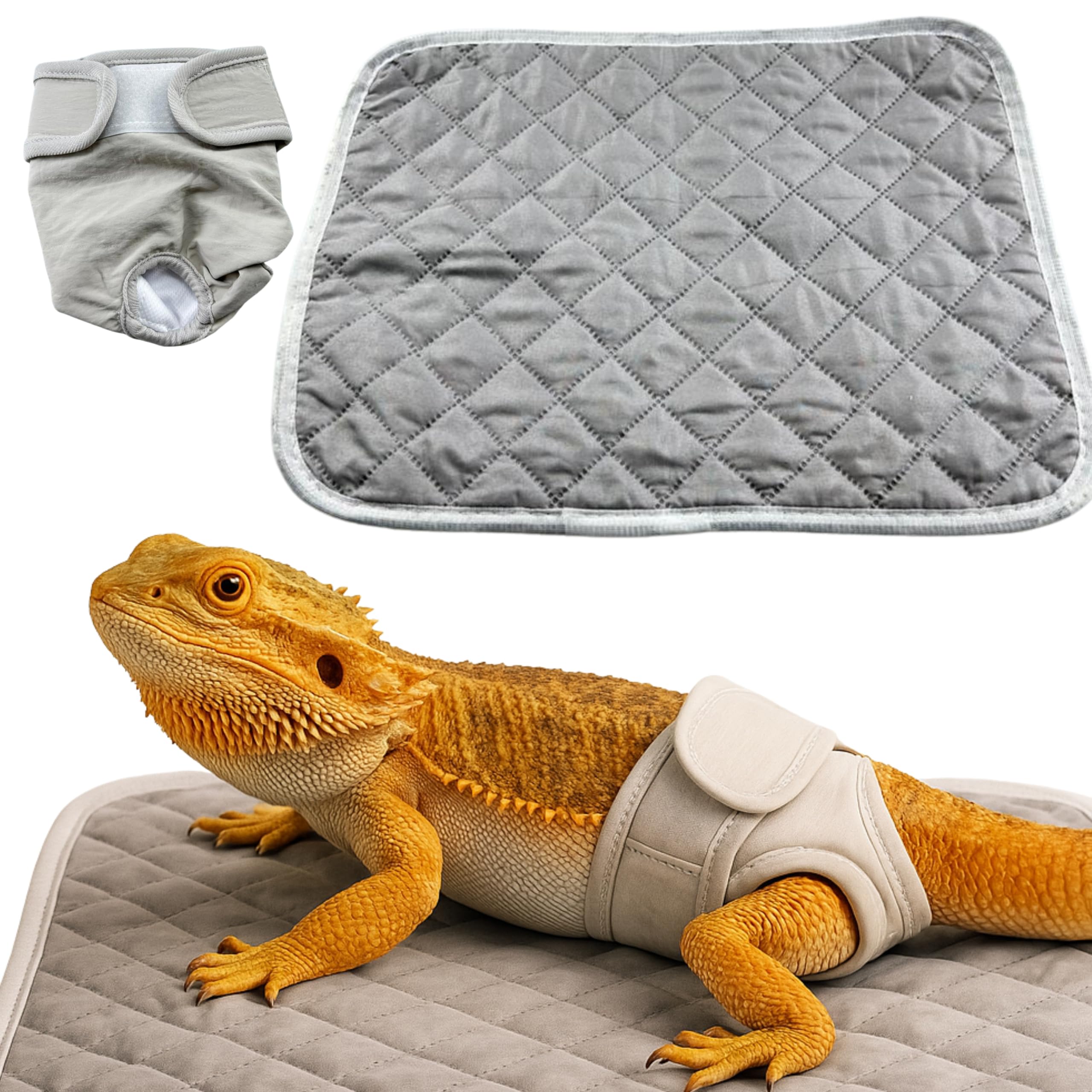 Homedy Crafts bearded dragon diaper with adjustable closure for relaxed handling sessions