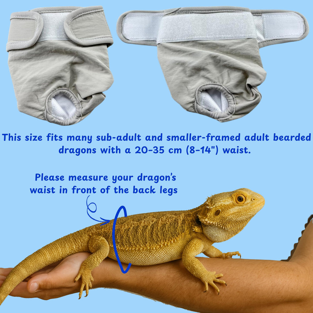 Homedy Crafts gray diaper style blends with harnesses for discreet outings
