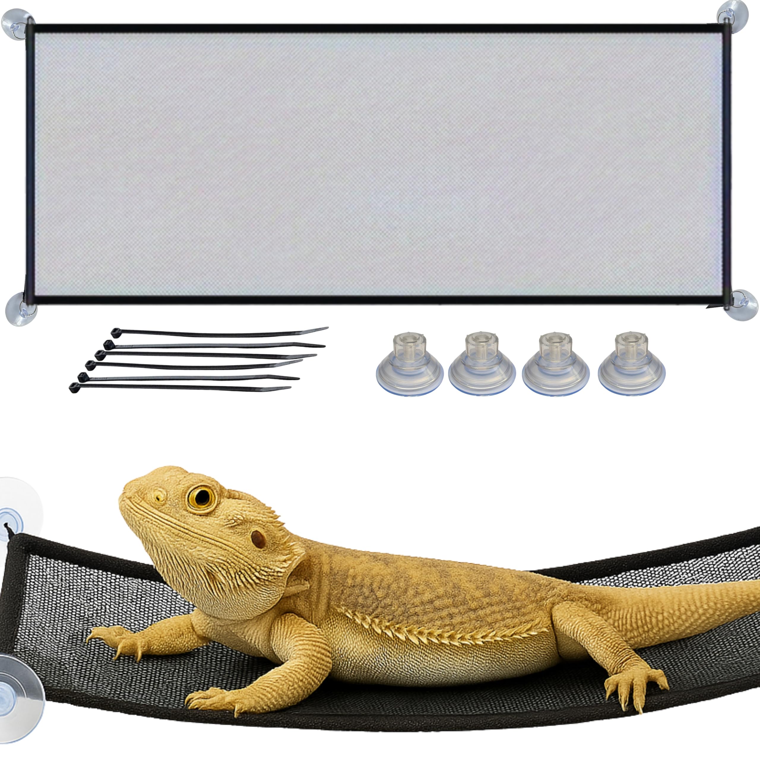 Homedy Crafts Bearded Dragon Hammock two-level climb for exercise and rest.