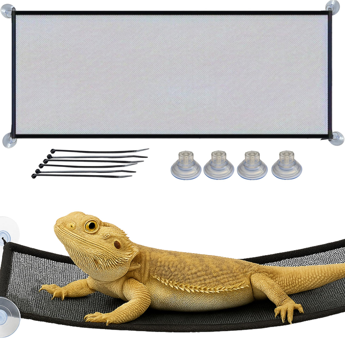 Homedy Crafts Bearded Dragon Hammock two-level climb for exercise and rest.
