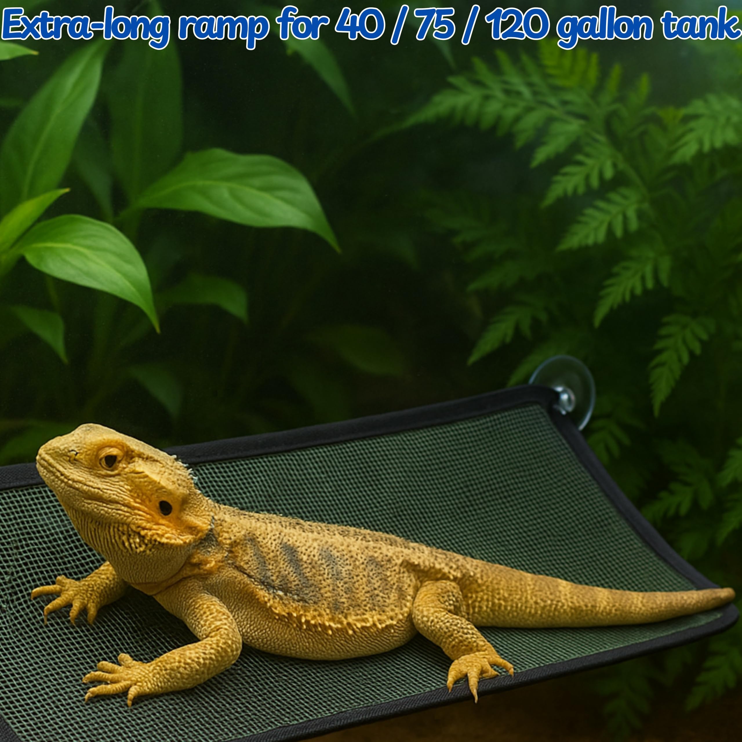 Homedy Crafts Bearded Dragon Hammock breathable mesh cleans quickly for easy maintenance.