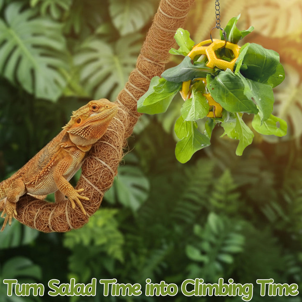 Homedy Crafts climbing branch variation adds interest to terrarium decor.