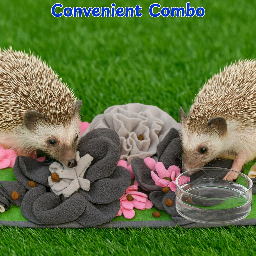 Homedy Crafts foraging mat hides treats to extend feeding time