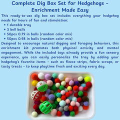Homedy Crafts hedgehog enrichment setup inspires daily activity and curiosity