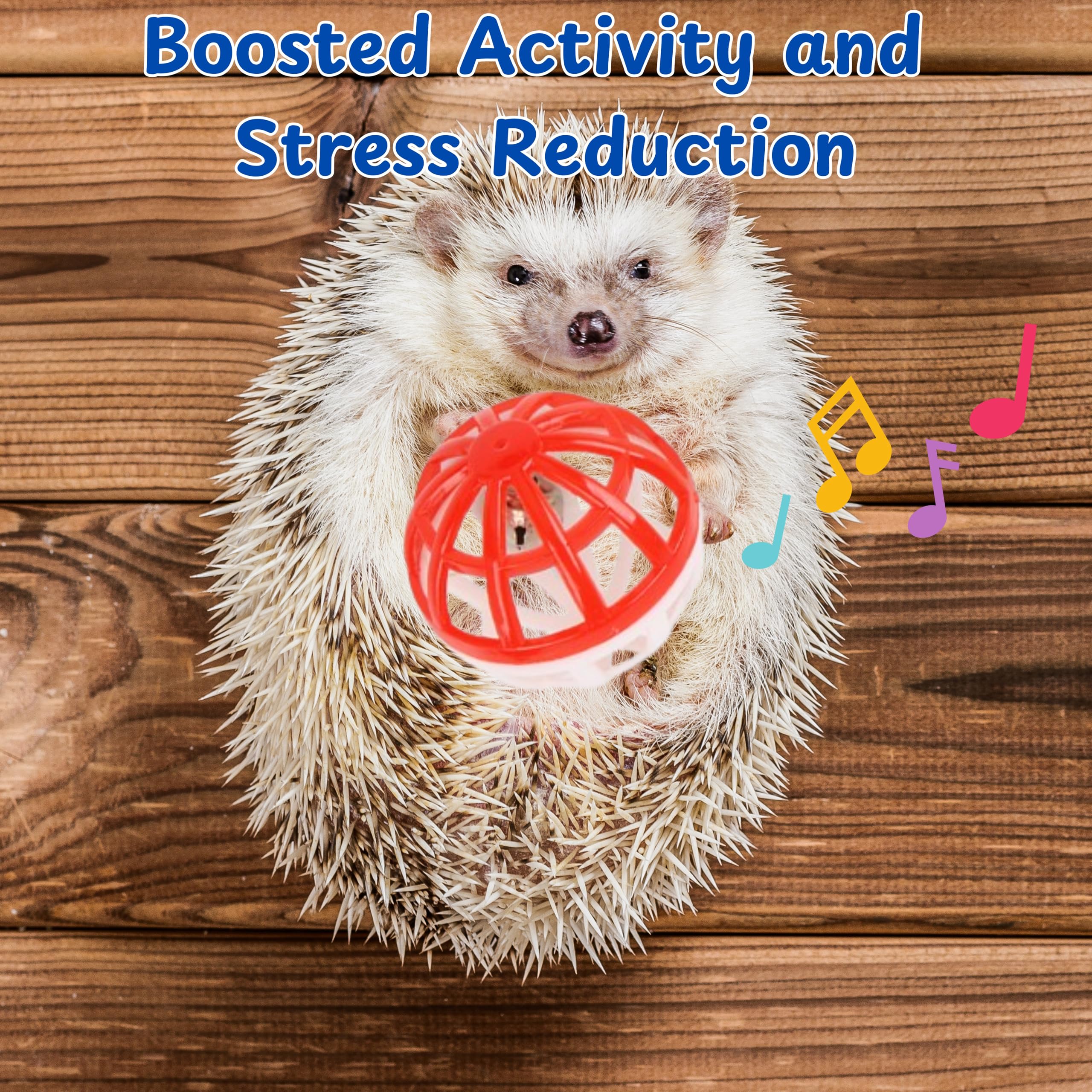 Homedy Crafts hedgehog enrichment kit boosts mental engagement