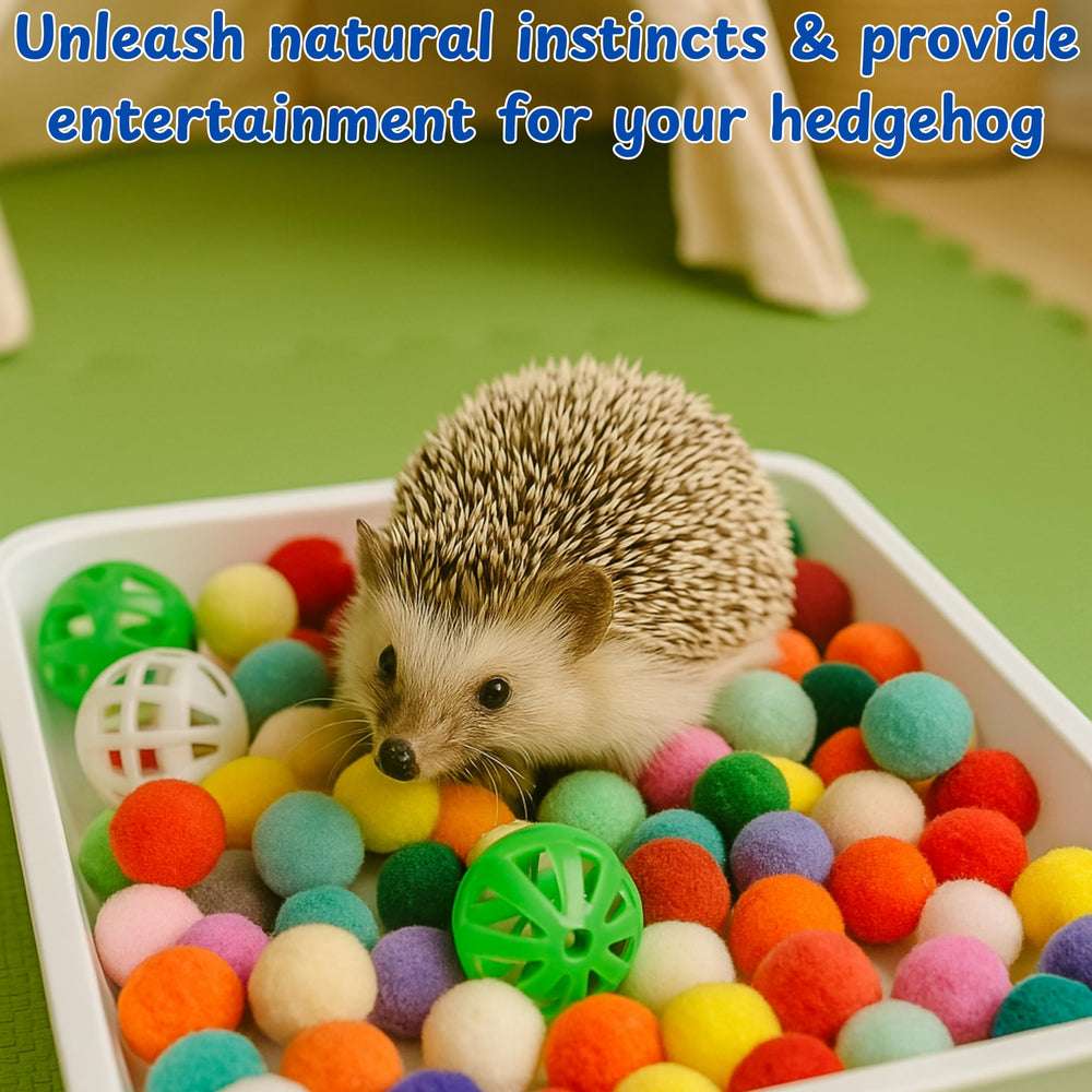 Homedy Crafts durable dig-box tray ensures safe hedgehog playtime