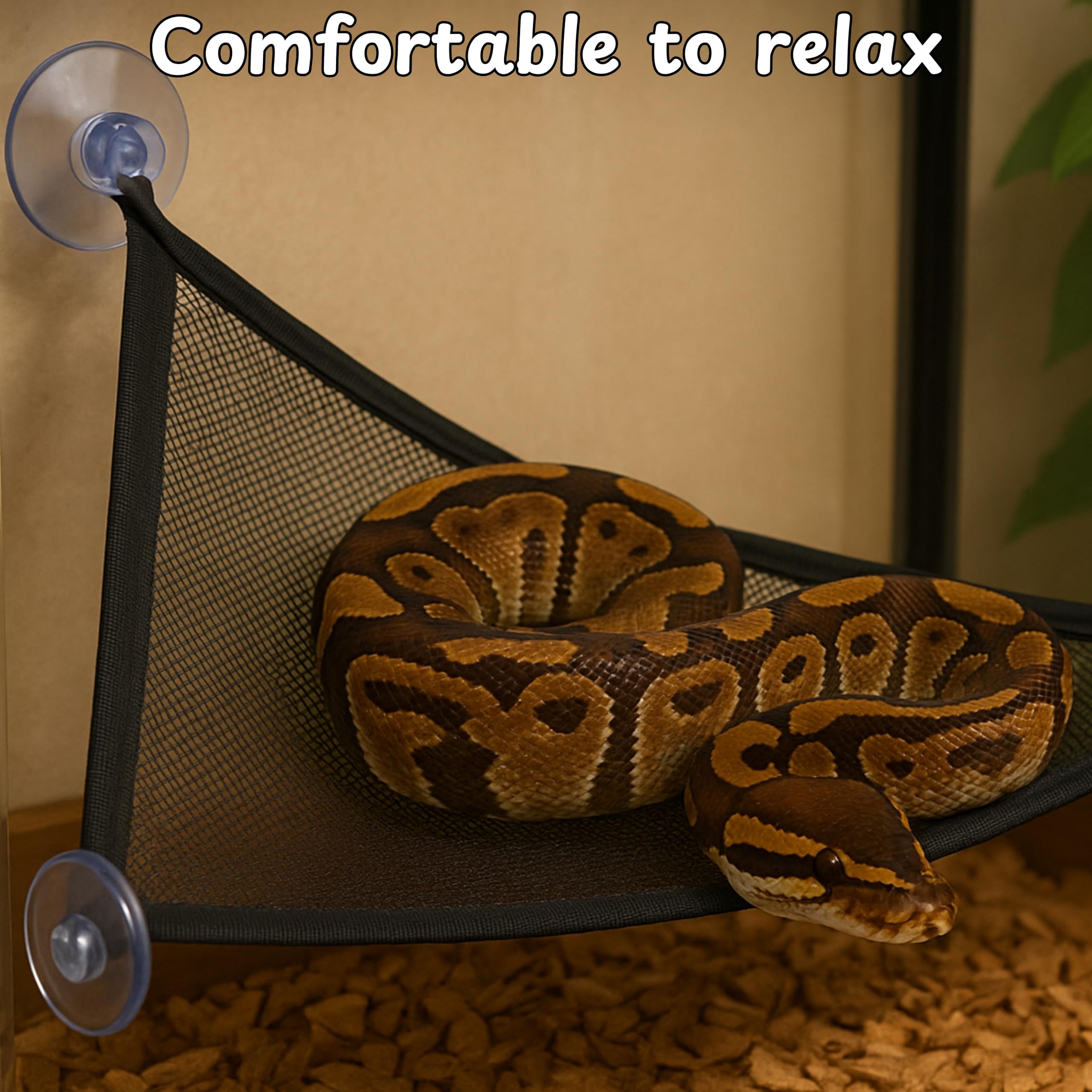 Homedy Crafts elevated hammock arrangement in a terrarium setup