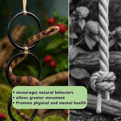 Homedy Crafts jungle gym setup for ball python to encourage climbing