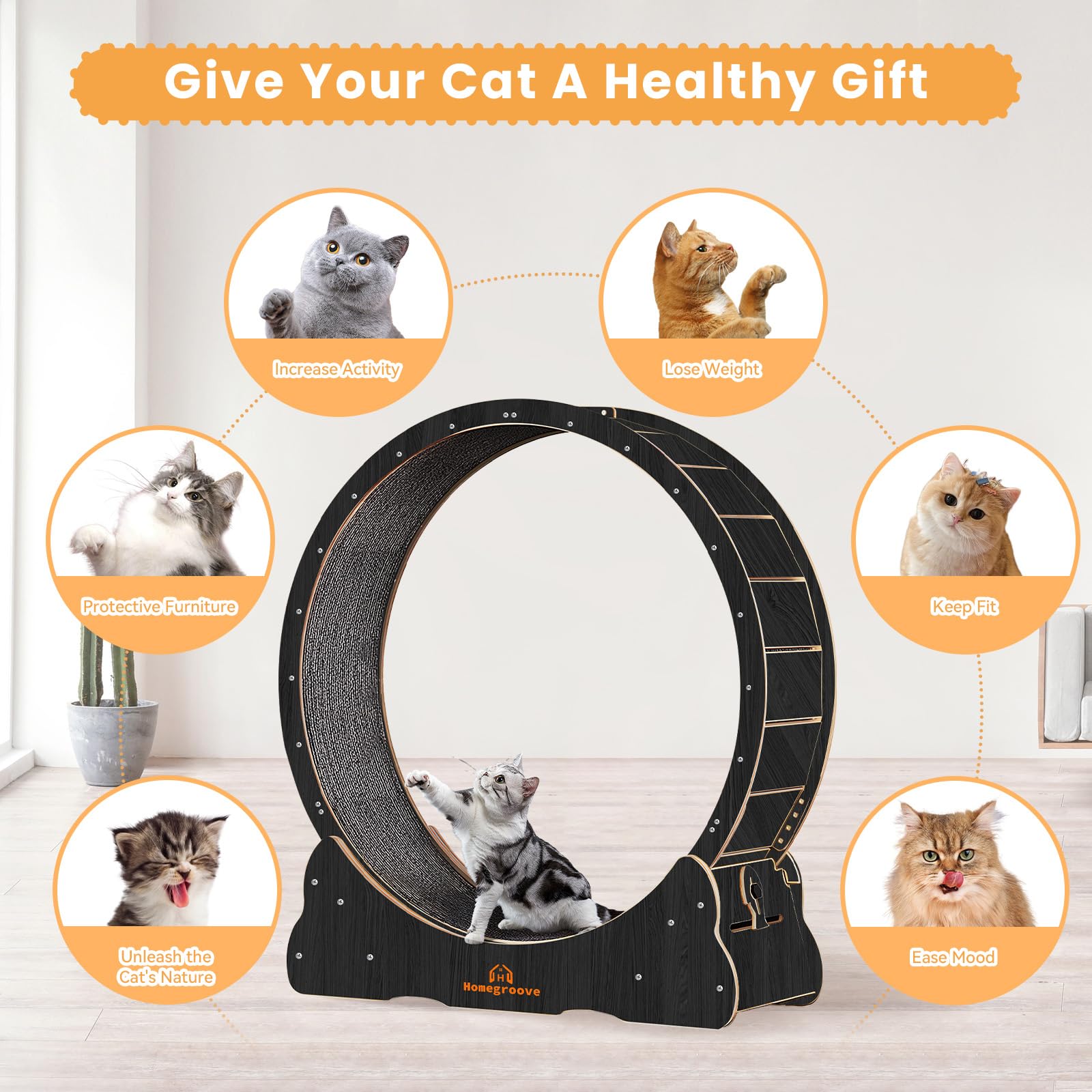 Carpeted runway of Homegroove cat wheel offers secure footing