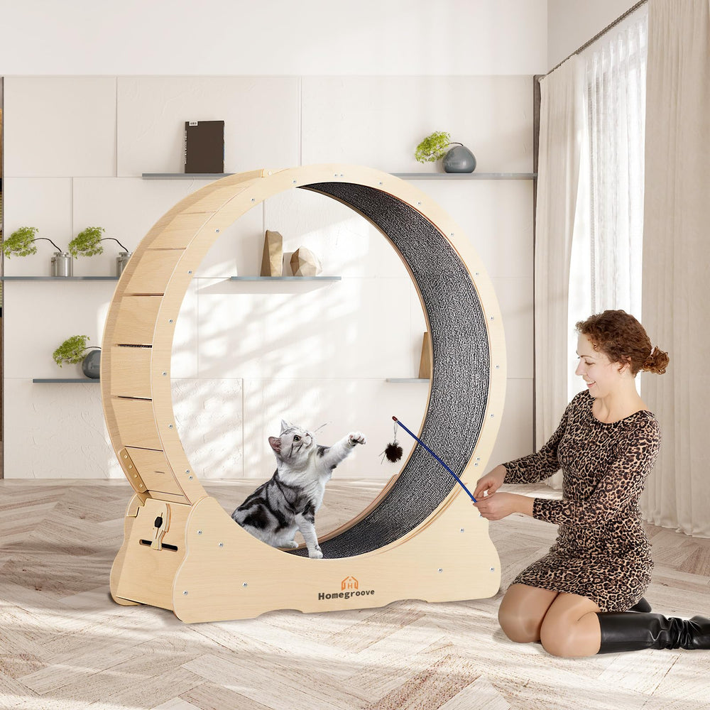 Homegroove Cat Exercise Wheel rounded corners improving safety during mounting