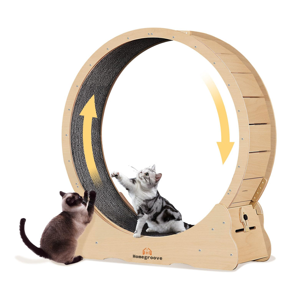 Homegroove Cat Exercise Wheel side view showing sturdy wooden base for indoor use