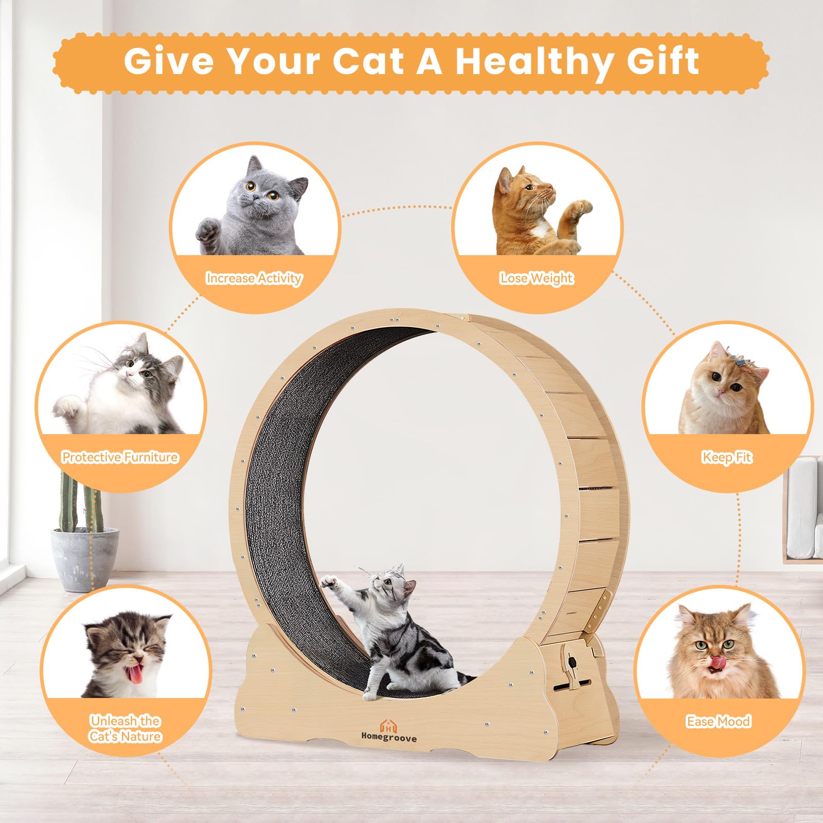 Homegroove Cat Exercise Wheel silent roller delivering low-noise operation for night use